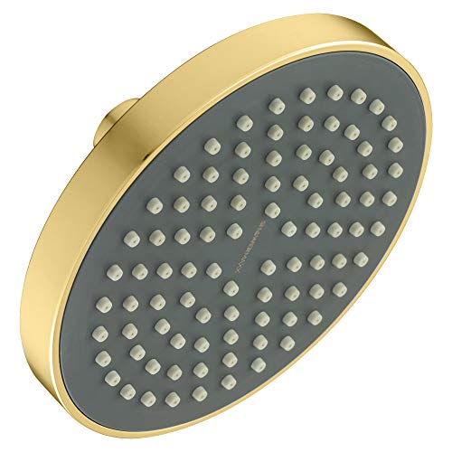 Fixed Rainfall Showerhead